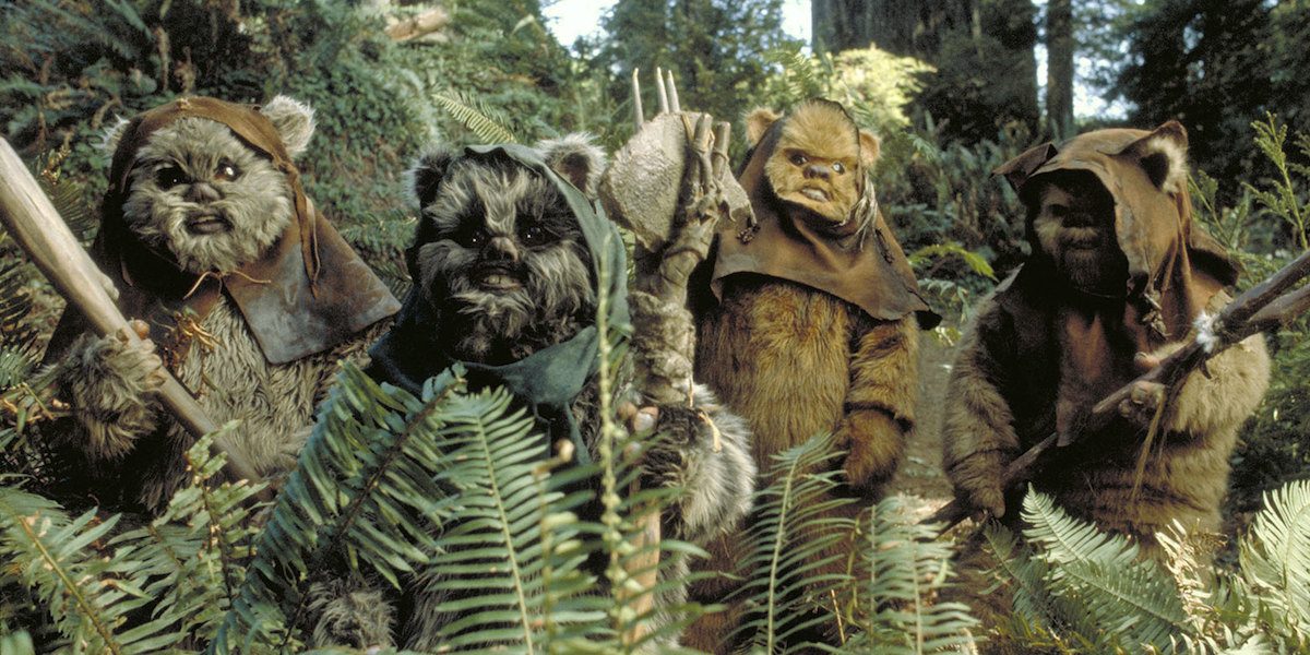 ewok-fuill-1200x600.jpeg